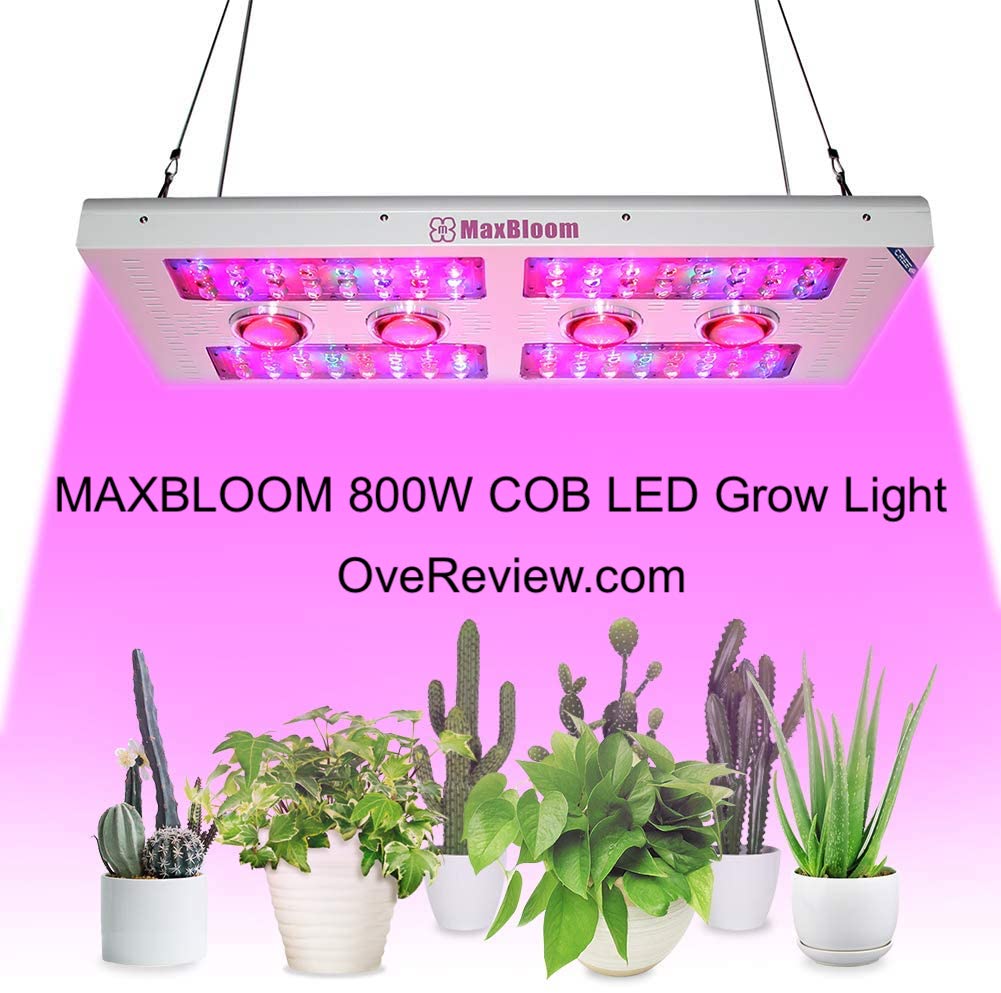 Best COB LED Grow Lights in [year] - [Buyer's Guide] 11